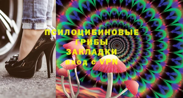 тгк Михайловск