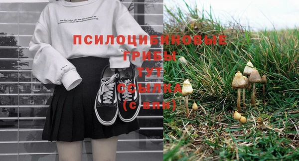 тгк Михайловск